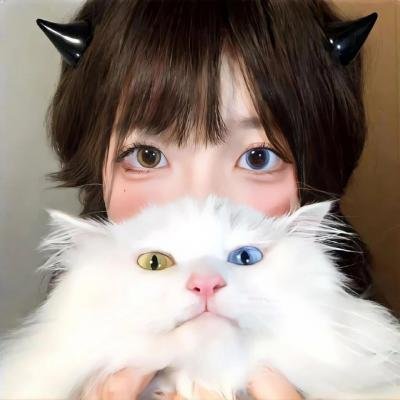 红酒烩鸡2